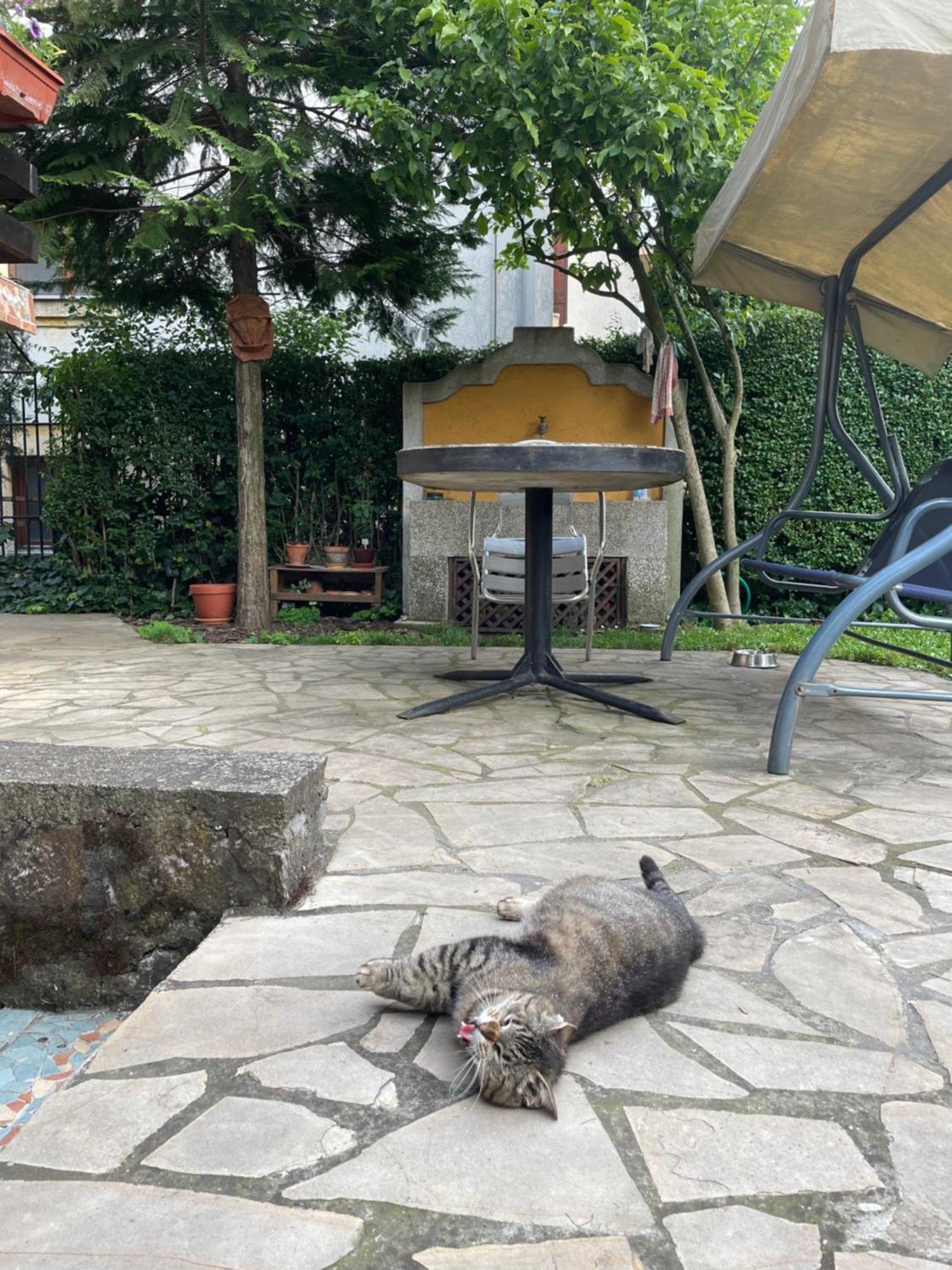 Apartament 5Min Airport Surčin Zewnętrze zdjęcie